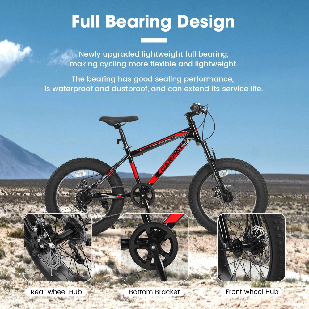 Sepeda Gunung Anak Remaja 20 I - Carbon Bike Frame ulasan dan harga